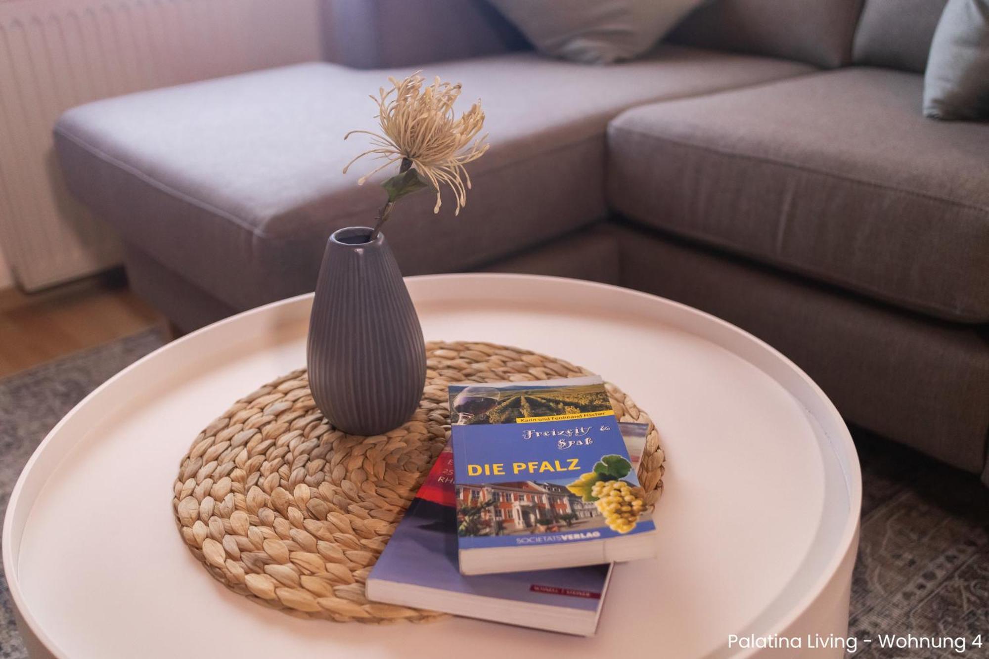 Appartamento Palatina Living Fischbach Esterno foto
