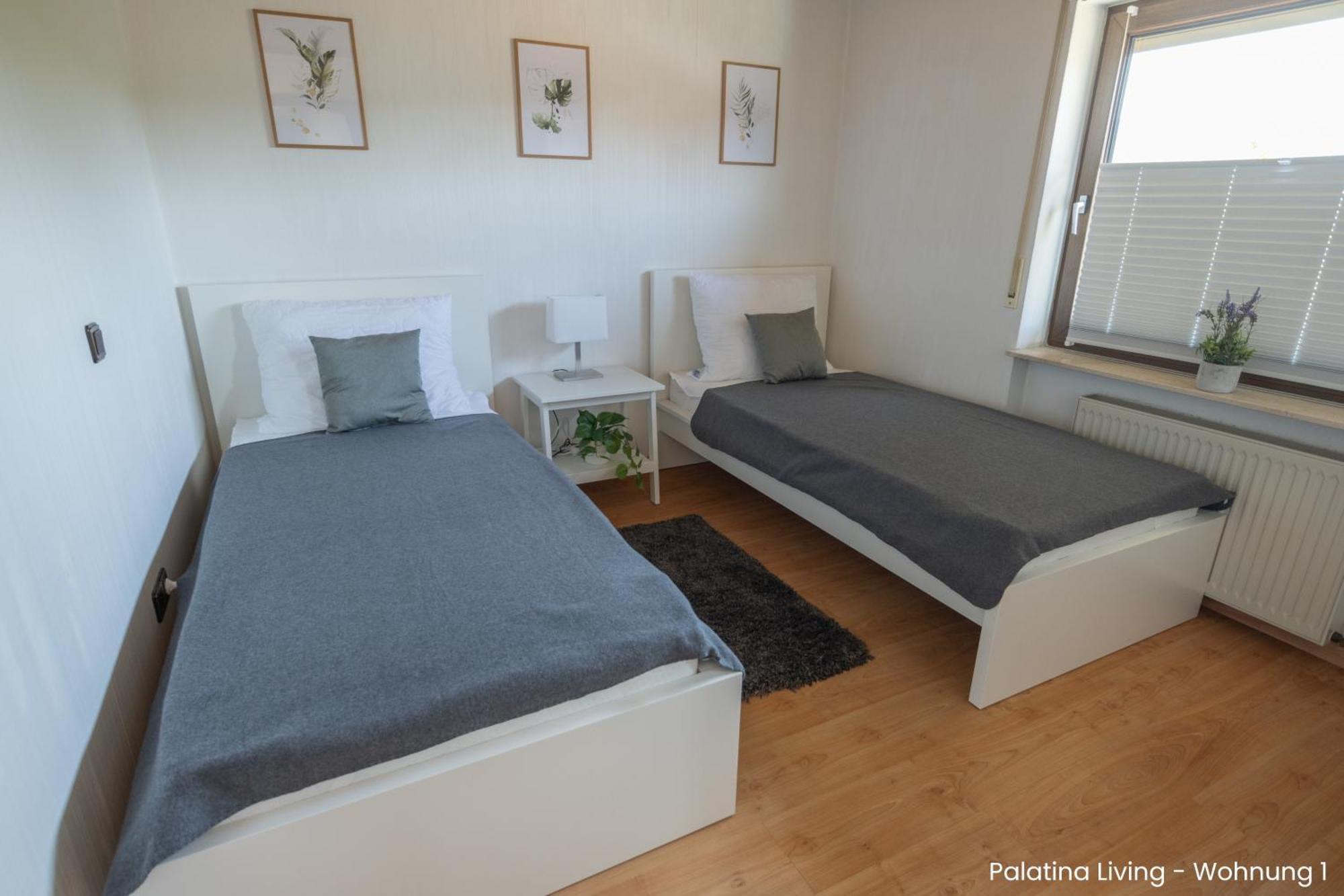 Appartamento Palatina Living Fischbach Esterno foto