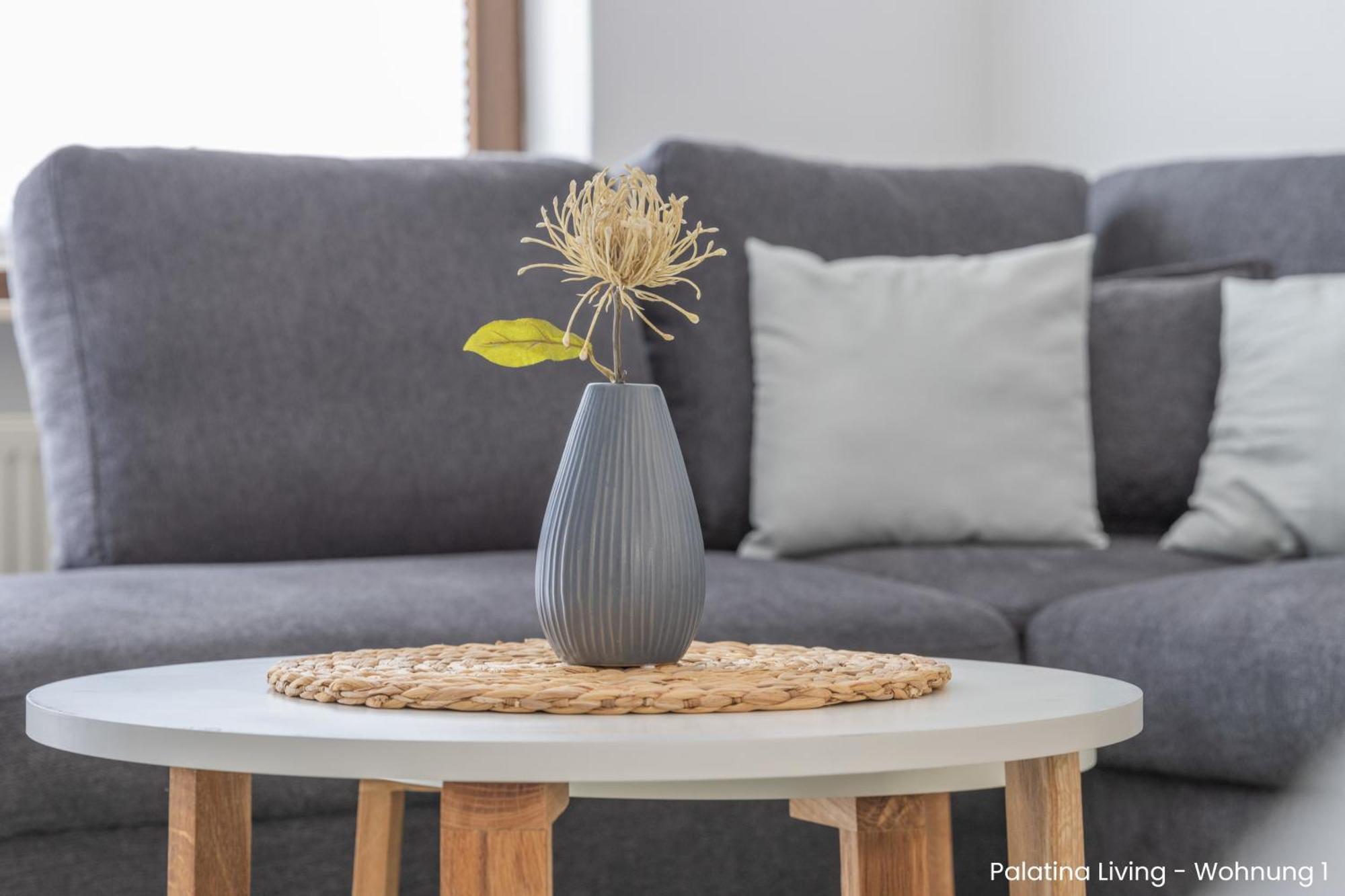 Appartamento Palatina Living Fischbach Esterno foto
